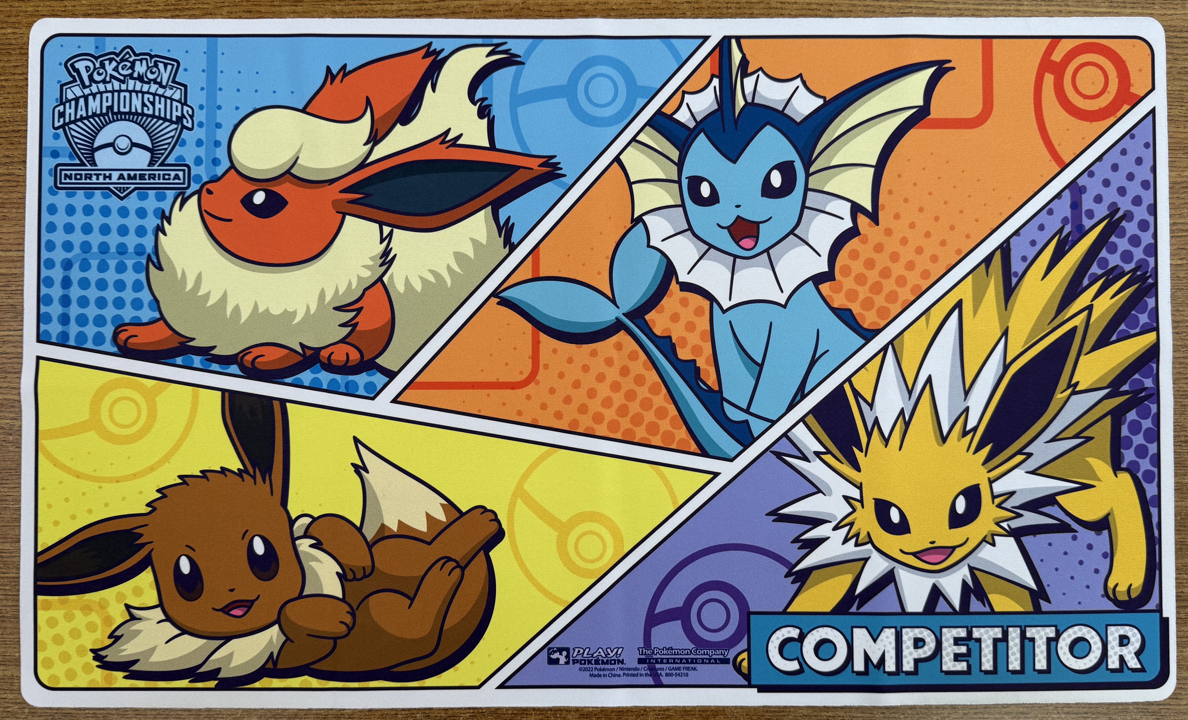 2023 NAIC Playmat
